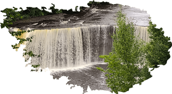 A serene waterfall cascading over a rocky ledge beside a green tree.