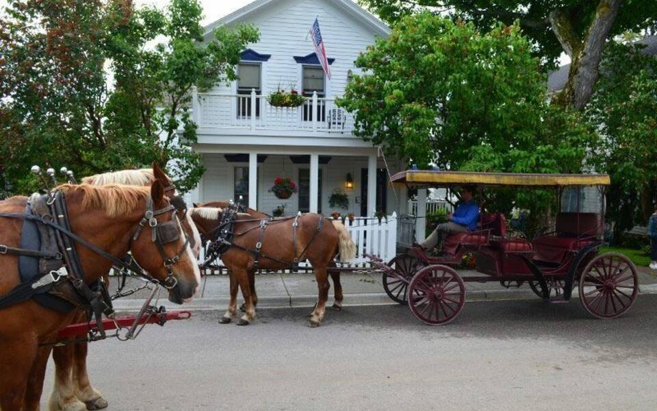 Horse-drawn carriage in front of a white house with American flag.
